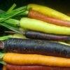 Bio Cooked Organic White Beans With Carrots 410g – Wholesale & Export UAE - wholesale supplier | AgroFoods Global