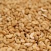 Cashews — Bulk & Wholesale Supply Best Salted Cashews, 110g – Wholesale & Export UAE - wholesale supplier | AgroFoods Global