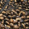 Castania Super Extra Nuts, 300g – Wholesale & Export UAE - wholesale supplier | AgroFoods Global