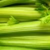 Celery Root UAE – Fresh Celeriac Holland Wholesale Dubai, Abu Dhabi - wholesale supplier | AgroFoods Global