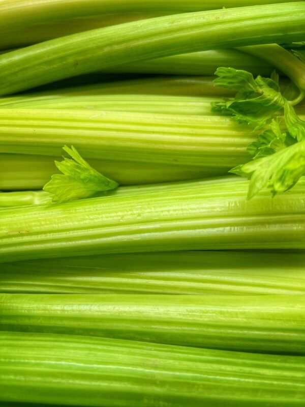 Celery Root UAE – Fresh Celeriac Holland Wholesale Dubai, Abu Dhabi - wholesale supplier | AgroFoods Global