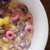 China High Quality Baby Food Corn Cereal with Milk - wholesale supplier | AgroFoods Global