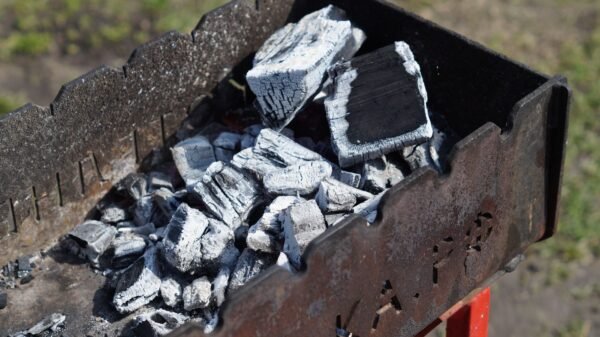 Charcoal Roasted Raw Cashew Nuts - wholesale supplier | AgroFoods Global