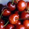 Haribo Happy Cherries Candy, 80g – Wholesale & Export UAE - wholesale supplier | AgroFoods Global