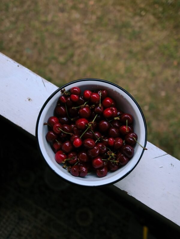 Hortex Stoned Cherries 300g – Wholesale & Export UAE - wholesale supplier | AgroFoods Global