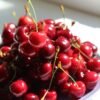 Haribo Happy Cherries Candy, 160g – Wholesale & Export UAE - wholesale supplier | AgroFoods Global