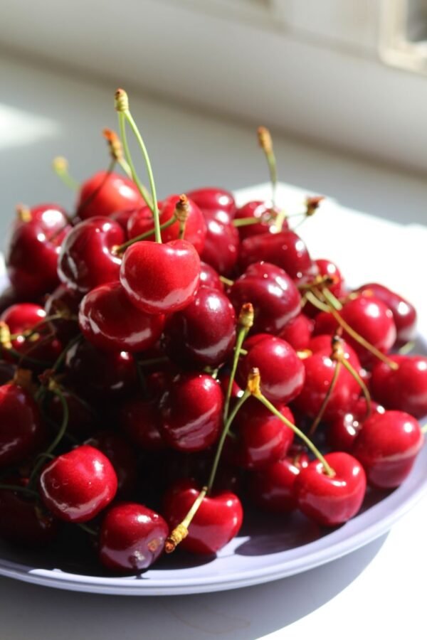 Haribo Happy Cherries Candy, 160g – Wholesale & Export UAE - wholesale supplier | AgroFoods Global