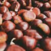 Chestnuts — Bulk & Wholesale Supply Premium Frozen Water Chestnuts IQF Peeled - wholesale supplier | AgroFoods Global