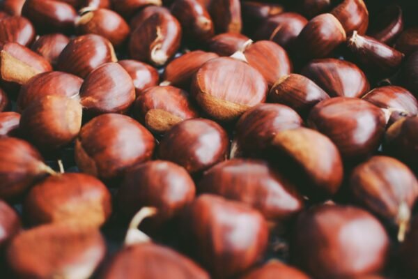 Chestnuts — Bulk & Wholesale Supply Premium Frozen Water Chestnuts IQF Peeled - wholesale supplier | AgroFoods Global