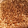 Gerber Organic Plant-tastic Mango Peach Chickpea Smash, 110g – Wholesale & Export UAE - wholesale supplier | AgroFoods Global