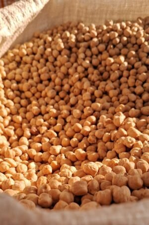 Gerber Organic Plant-tastic Mango Peach Chickpea Smash, 110g – Wholesale & Export UAE - wholesale supplier | AgroFoods Global