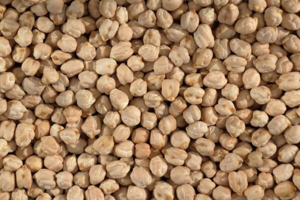 High Quality Organic White Dried Chickpeas - wholesale supplier | AgroFoods Global