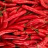 Indofood Lampung Chilli Sauce 340ml – Wholesale & Export UAE - wholesale supplier | AgroFoods Global