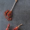 Kimball Chilli Garlic Sauce, 325g – Wholesale & Export UAE - wholesale supplier | AgroFoods Global