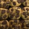 Soya Chunks Protein Nuggets Process Making - wholesale supplier | AgroFoods Global