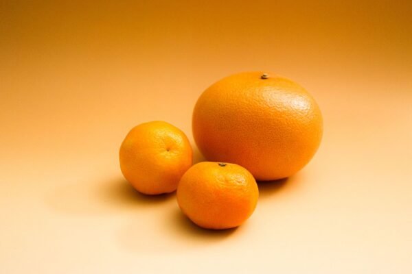 Lemons 2Kg UAE – Fresh Citrus Wholesale & Supplier Dubai (Turkey, Egypt, India) - wholesale supplier | AgroFoods Global