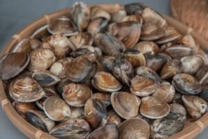 Frozen Short Neck Clam Shell on - wholesale supplier | AgroFoods Global