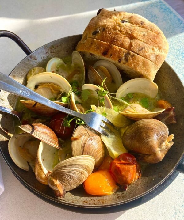 Clams — Bulk & Wholesale Supply Fresh Clams Seafish Shell 500g - wholesale supplier | AgroFoods Global