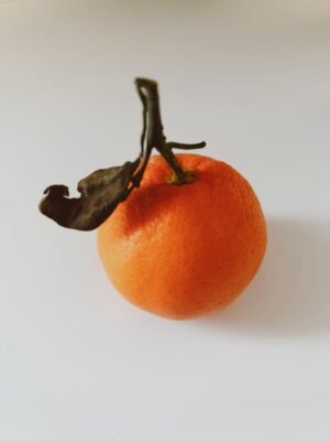 Clementine with Leaves UAE – Fresh Seedless Mandarin Oranges Wholesale & Supplier Dubai - wholesale supplier | AgroFoods Global
