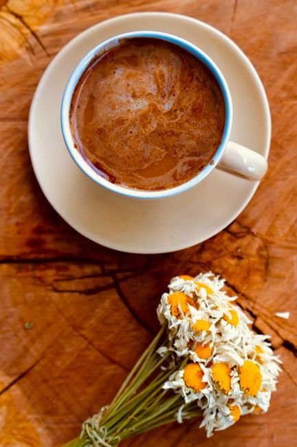 Coffee Cocoa & Tea — Bulk & Wholesale Supply Steam Sterilized Indian Cumin Powder Gujarat - wholesale supplier | AgroFoods Global