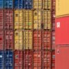 Container Shipping Fresh Garlic Use Reefer - wholesale supplier | AgroFoods Global