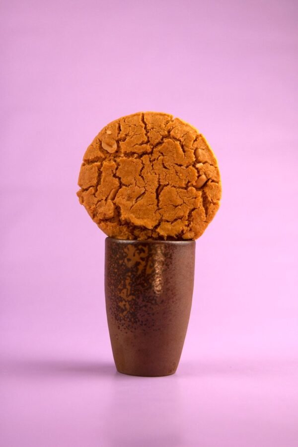 Peanut Butter Protein Cookie 59g - wholesale supplier | AgroFoods Global