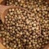 Premium Coriander Herbs (Dhaniya) UAE – Fresh Coriander Wholesale Supply - wholesale supplier | AgroFoods Global