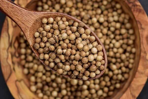 Premium Coriander Herbs (Dhaniya) UAE – Fresh Coriander Wholesale Supply - wholesale supplier | AgroFoods Global