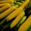 Bonduelle Sweet Corn, 200g – Wholesale & Export UAE - wholesale supplier | AgroFoods Global