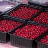 Cranberry Dried - wholesale supplier | AgroFoods Global