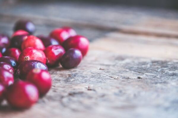 Wholesale Price Natural Pure Dried Cranberry - wholesale supplier | AgroFoods Global
