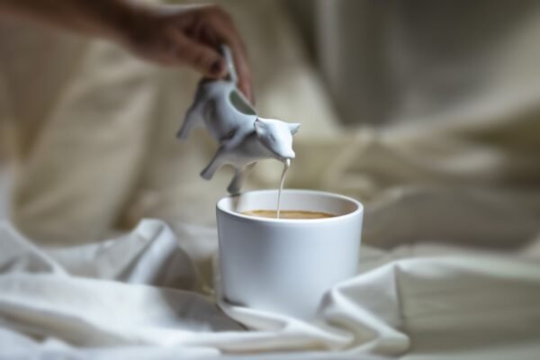 Coconut fat coffee creamer 35 - wholesale supplier | AgroFoods Global