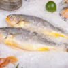 Frozen Brown Croaker Gutted Whole for - wholesale supplier | AgroFoods Global