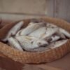 Yellow Croaker Whole Round Frozen Wild - wholesale supplier | AgroFoods Global
