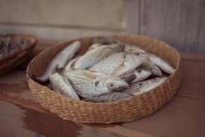 Yellow Croaker Whole Round Frozen Wild - wholesale supplier | AgroFoods Global