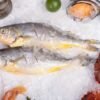 Frozen Yellow Croaker Roughy Premium Yellow - wholesale supplier | AgroFoods Global