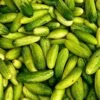 Cucumber — Bulk & Wholesale Supply Cucumber Box - wholesale supplier | AgroFoods Global
