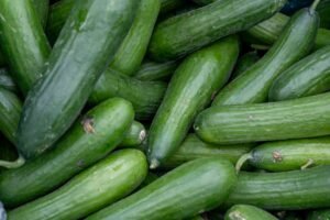 Cucumber Yellow Vellari - wholesale supplier | AgroFoods Global