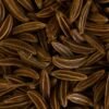 Cumin — Bulk & Wholesale Supply