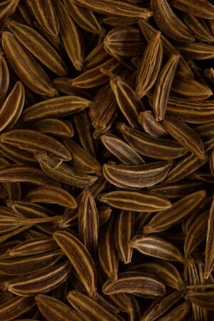 Cumin Seed - wholesale supplier | AgroFoods Global