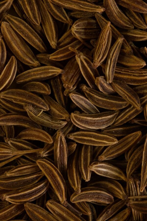 Cumin — Bulk & Wholesale Supply