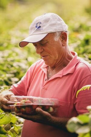 Driscoll’s Blackberries 125g UAE – Premium Fresh UAE-Grown Blackberries Dubai - wholesale supplier | AgroFoods Global
