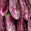 Eggplant Pink UAE 500g - wholesale supplier | AgroFoods Global