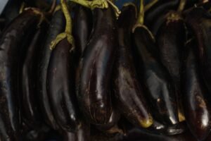 Large Eggplant 400 500grm - wholesale supplier | AgroFoods Global