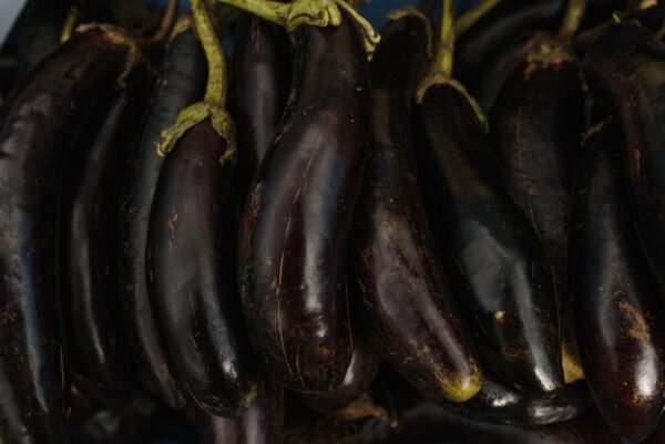 Large Eggplant 400 500grm - wholesale supplier | AgroFoods Global