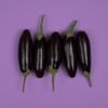 Premium Eggplant UAE – Fresh Aubergine Wholesale Supplier & Exporter - wholesale supplier | AgroFoods Global