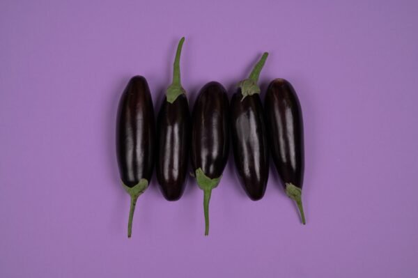 Premium Eggplant UAE – Fresh Aubergine Wholesale Supplier & Exporter - wholesale supplier | AgroFoods Global