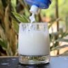 Ensure Complete Balanced Nutrition Drink Powder, Vanilla, 850g – Wholesale & Export UAE - wholesale supplier | AgroFoods Global