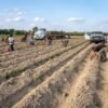 500kg h Agricultural Farming Fish Floating - wholesale supplier | AgroFoods Global