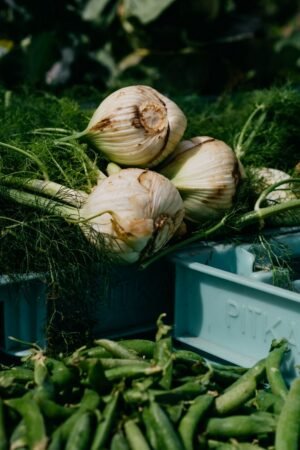 Baby Fennel 200g - wholesale supplier | AgroFoods Global